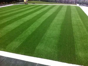 Artificial Turf